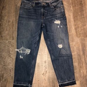 Maurices distressed crop ankle jeans